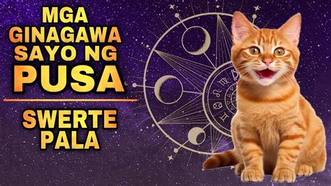 Sexy Nerd Swerte ng Makakatikim Sayo .